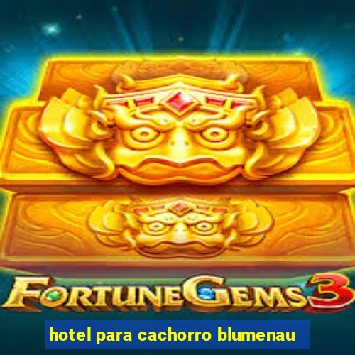 hotel para cachorro blumenau